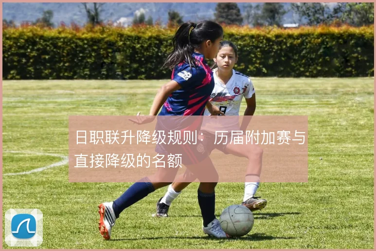 日职联升降级规则：历届附加赛与直接降级的名额