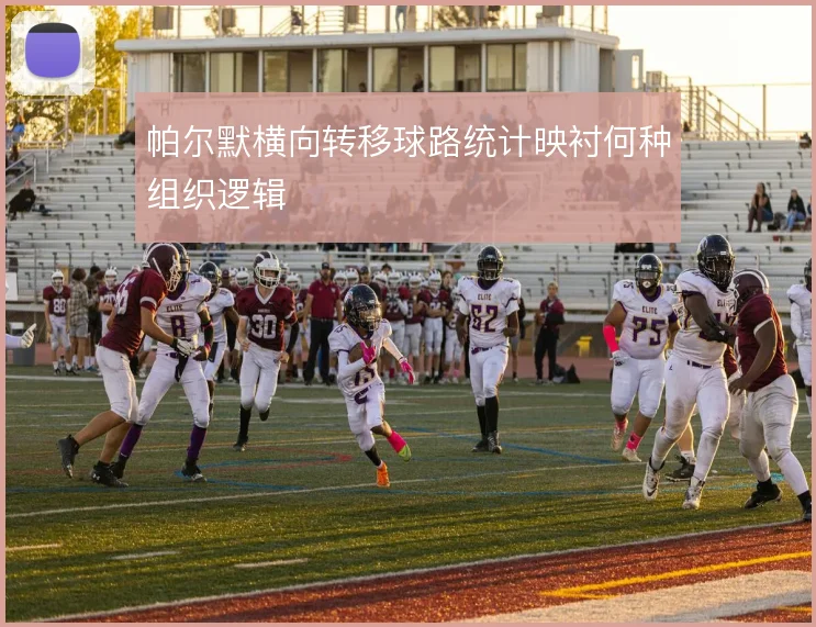 帕尔默横向转移球路统计映衬何种组织逻辑